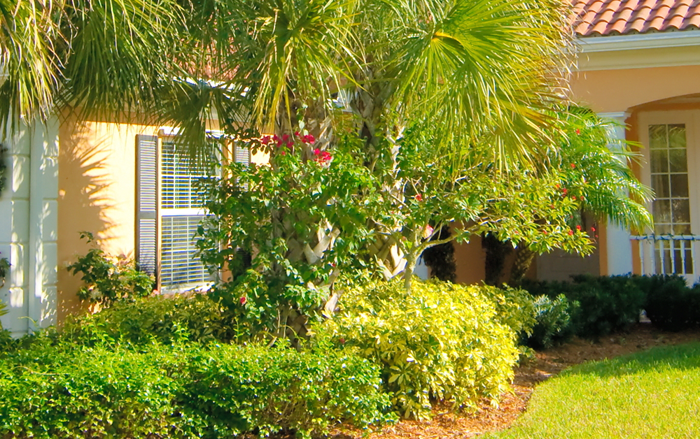 lawn in Tampa under warm sunny skies